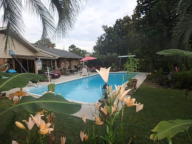 Poolside Paradise Наварр Экстерьер фото